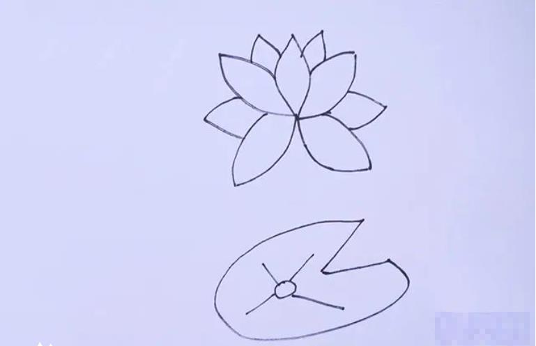 莲花简笔画简单又好看一步一步简单画