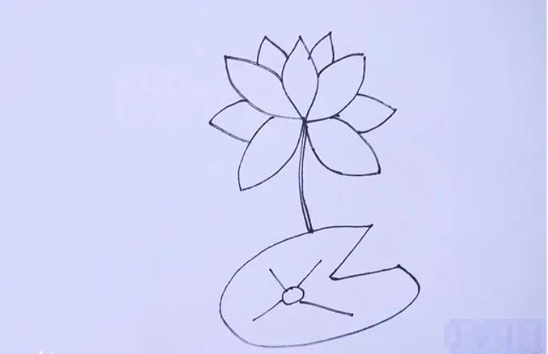 莲花简笔画简单又好看一步一步简单画