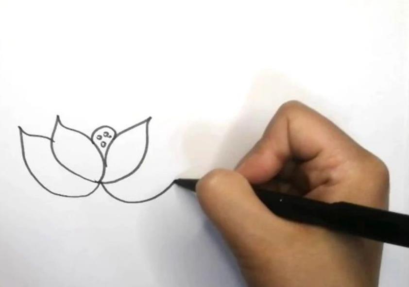 荷花简笔画教程图片彩色版可爱又漂亮