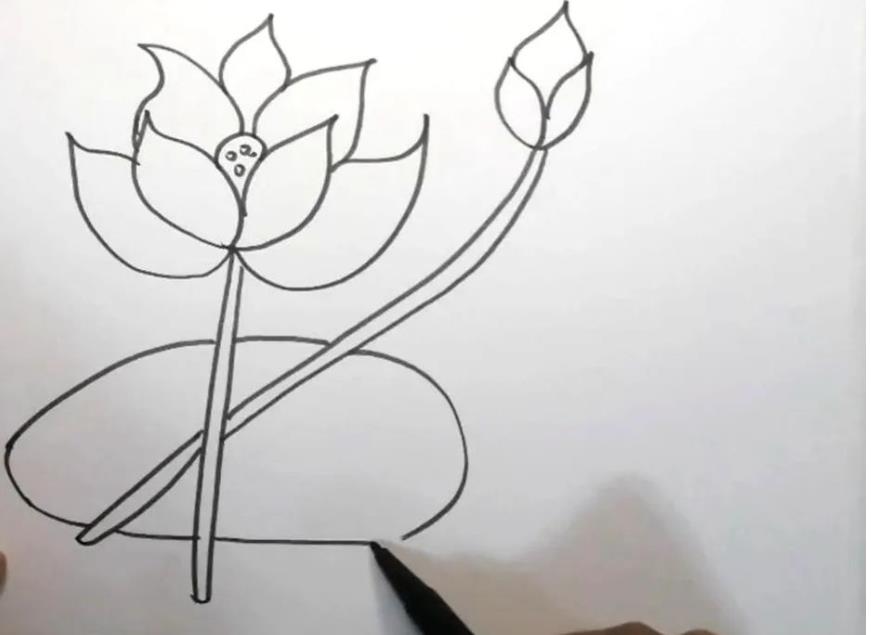 荷花简笔画教程图片彩色版可爱又漂亮