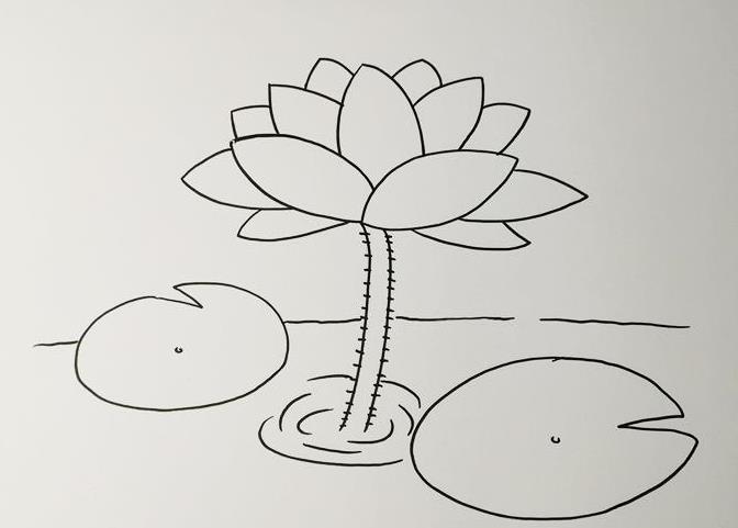 荷花盛开的样子怎么画 荷花盛开的简笔画图片