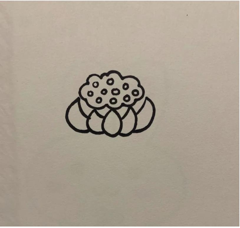 简笔画的莲花怎么画好看又漂亮(含教程步骤)