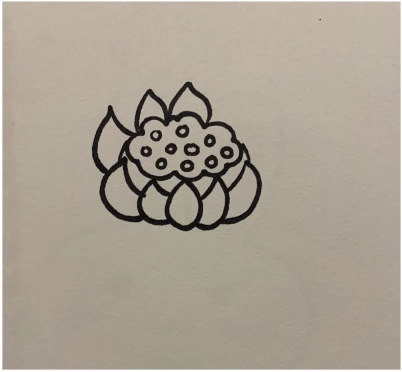 简笔画的莲花怎么画好看又漂亮(含教程步骤)