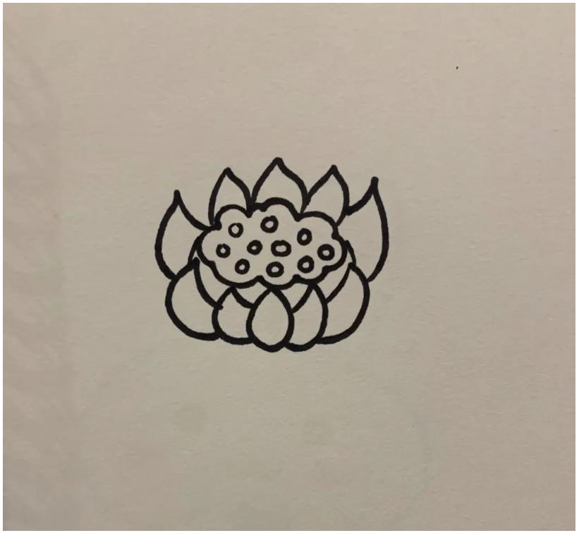 简笔画的莲花怎么画好看又漂亮(含教程步骤)