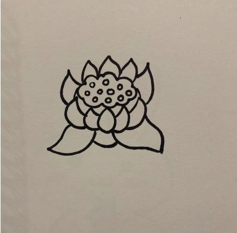 简笔画的莲花怎么画好看又漂亮(含教程步骤)