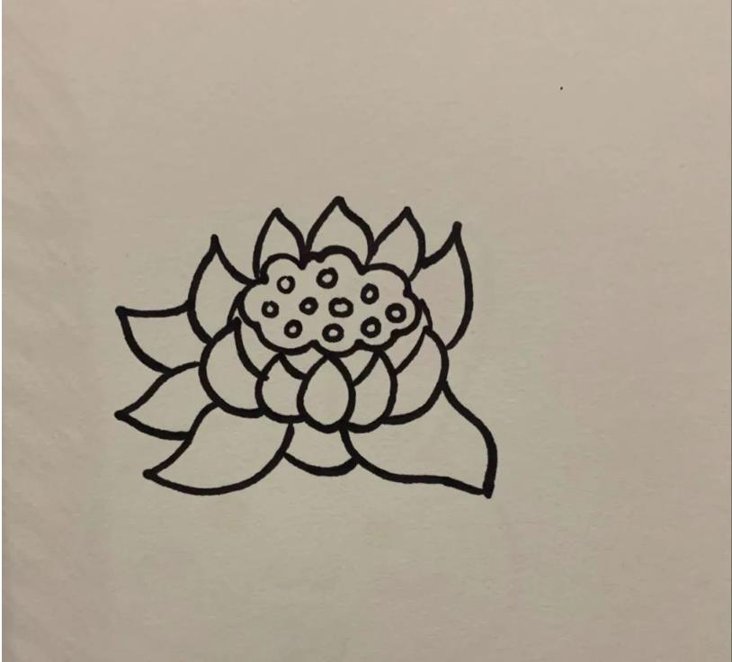 简笔画的莲花怎么画好看又漂亮(含教程步骤)