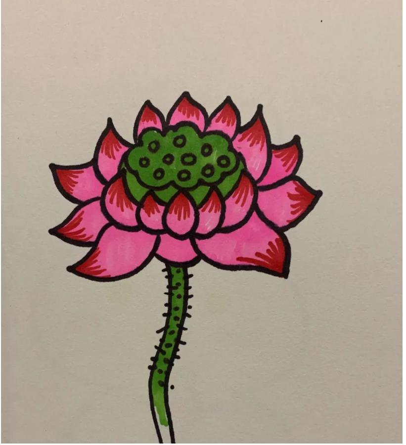 简笔画的莲花怎么画好看又漂亮(含教程步骤)