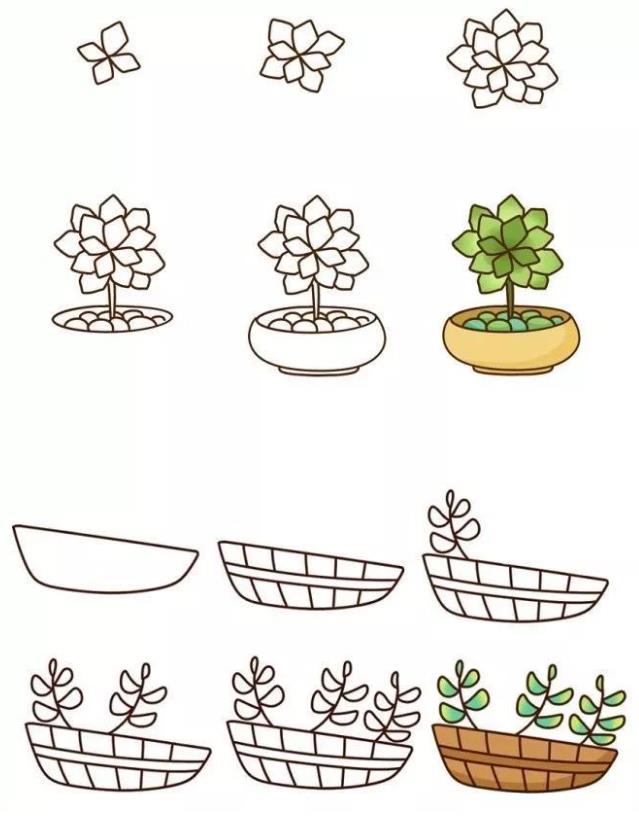 儿童简笔画：多肉怎么画简单好看