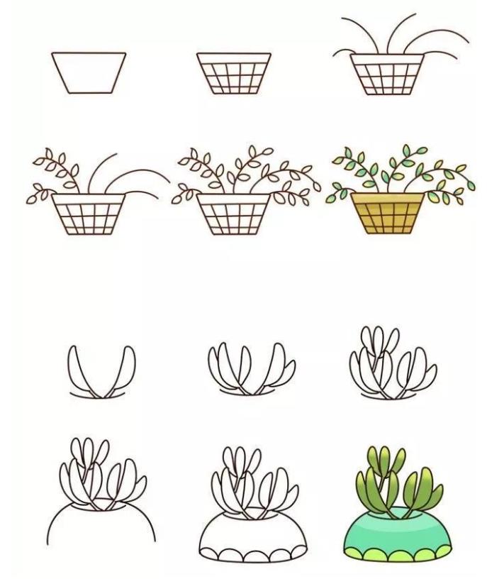 儿童简笔画：多肉怎么画简单好看
