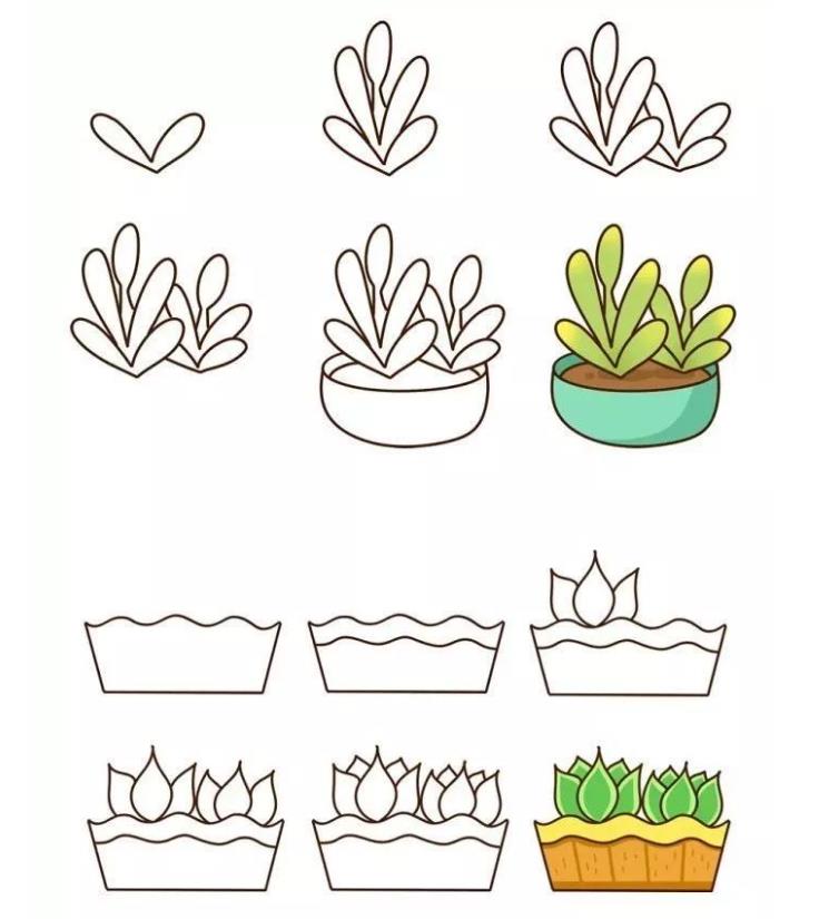儿童简笔画：多肉怎么画简单好看