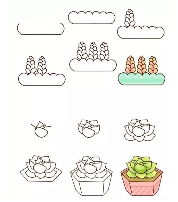 儿童简笔画：多肉怎么画简单好看