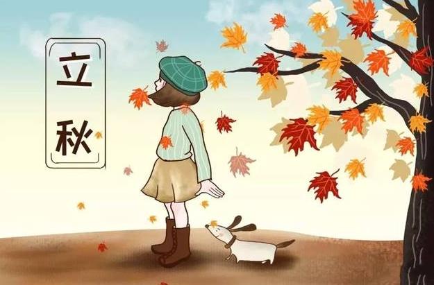 2023立秋节气简笔画彩色大全欣赏