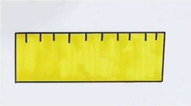 「文具简笔画」尺子怎么画简单好看小学生