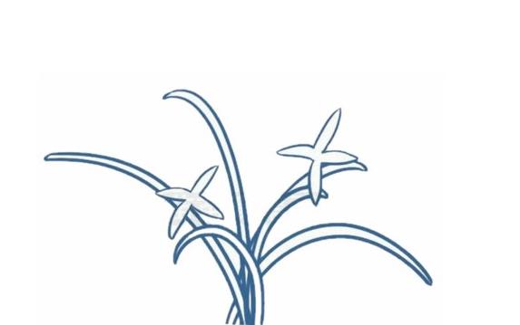 画兰花简笔画图片大全欣赏