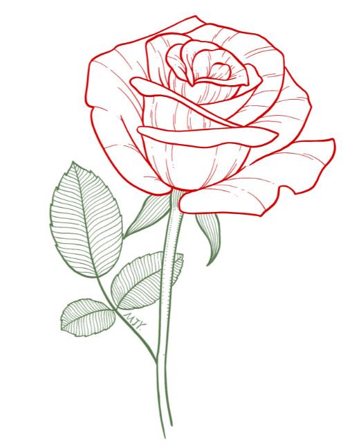 用123画玫瑰花怎么画 玫瑰花简笔画一朵