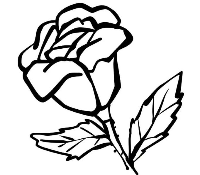 用123画玫瑰花怎么画 玫瑰花简笔画一朵