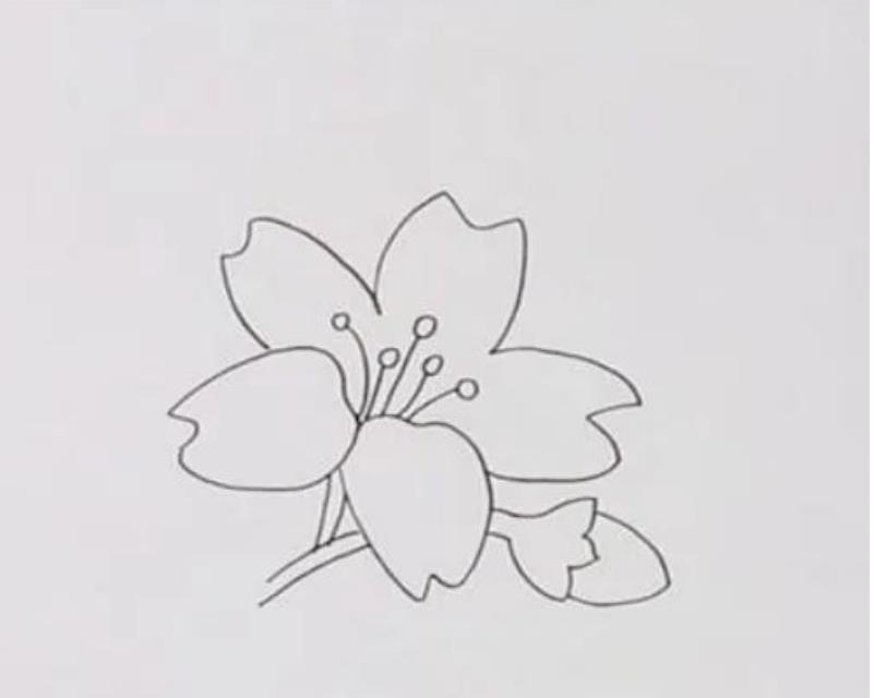 迎春花怎么画漂亮又简单(含教程步骤)