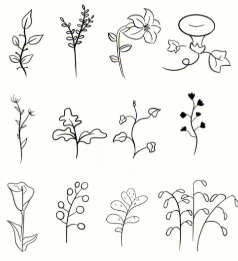 2023画植物简单漂亮图片简笔画大全