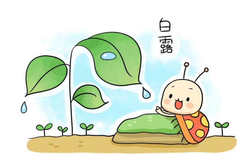 白露的画怎么画简单又漂亮(含教程步骤)