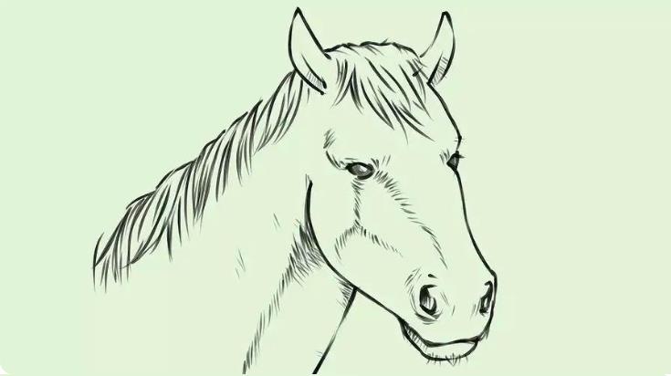 儿童简笔画:马的简单画法教程