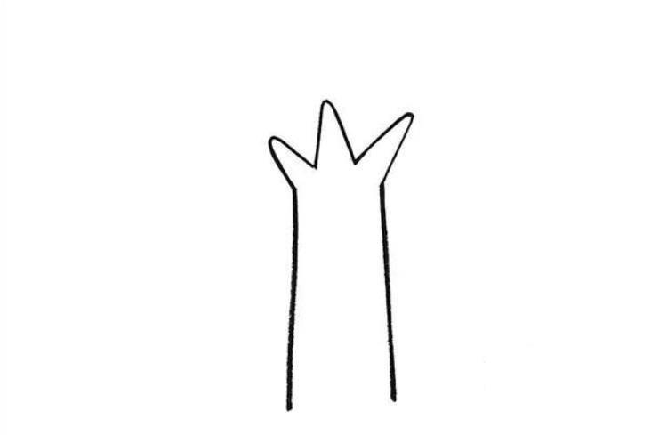 简单的树怎么画 一步一步教你画大树