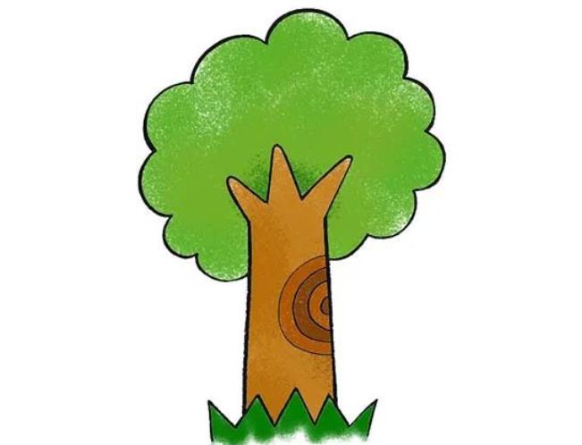 简单的树怎么画 一步一步教你画大树