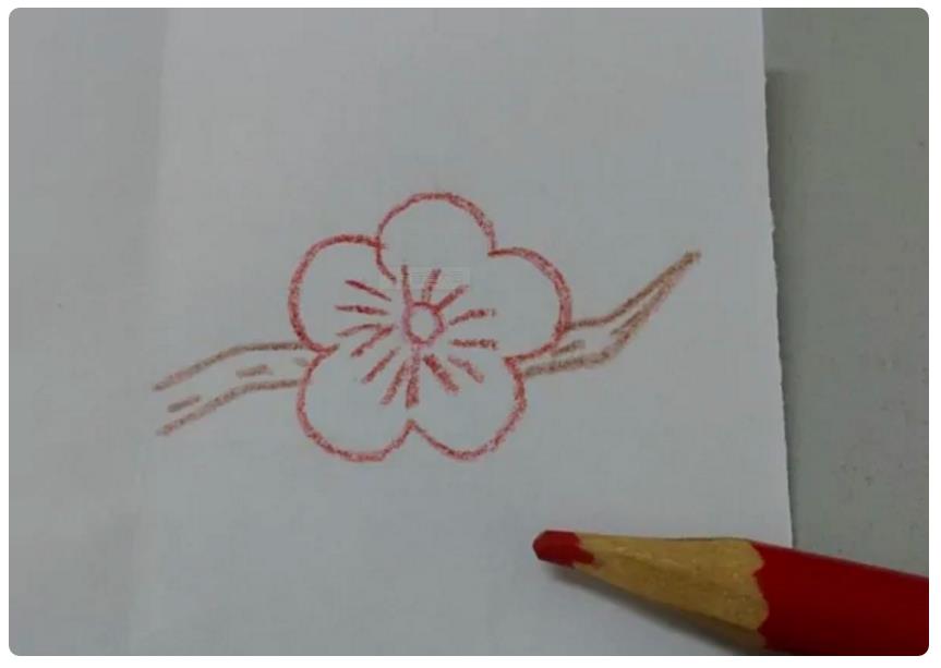 1到12月的花怎么画简笔画 十二月花简笔画图片大全