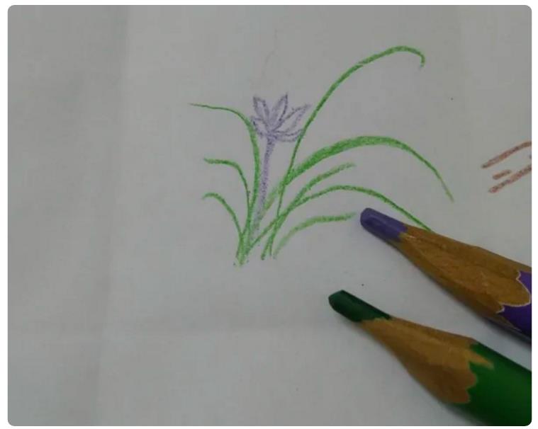 1到12月的花怎么画简笔画 十二月花简笔画图片大全