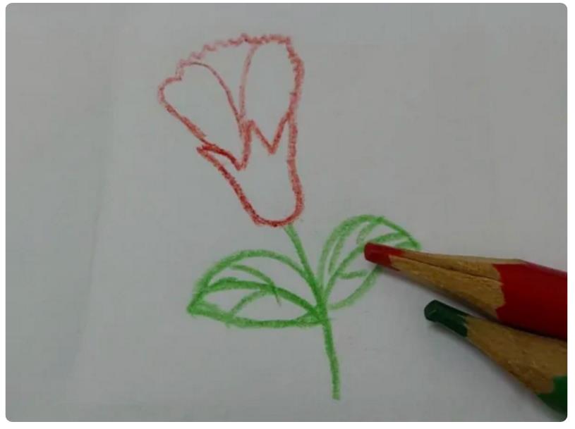 1到12月的花怎么画简笔画 十二月花简笔画图片大全