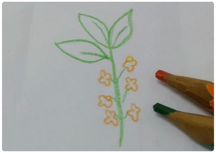 1到12月的花怎么画简笔画 十二月花简笔画图片大全