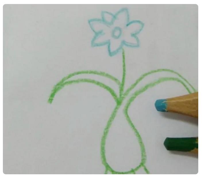 1到12月的花怎么画简笔画 十二月花简笔画图片大全