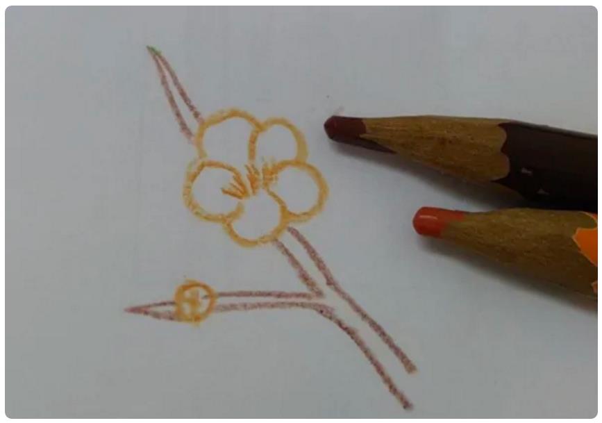 1到12月的花怎么画简笔画 十二月花简笔画图片大全