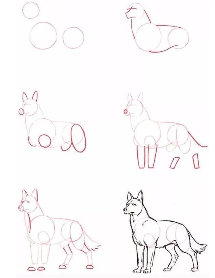 简单的动物怎么画简笔画图片大全