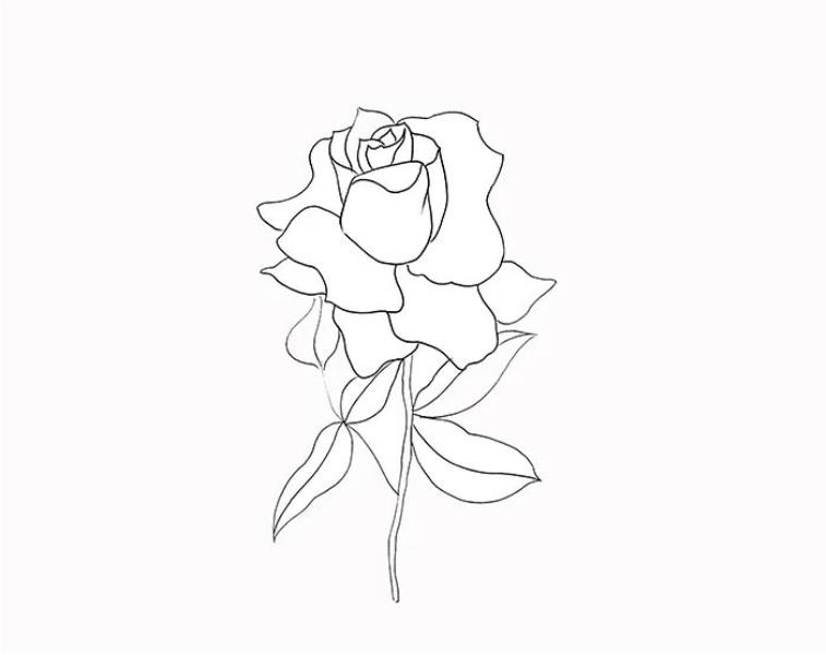 画一朵立体玫瑰花 玫瑰画法高级感简单易学