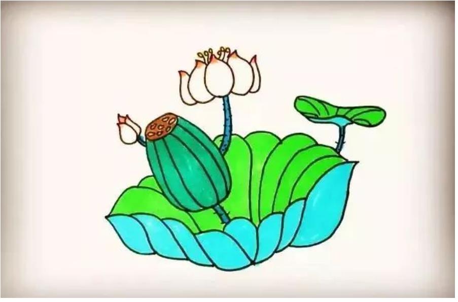 荷花怎么画简单又好看教程图片