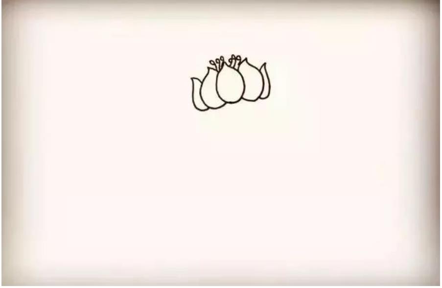 荷花怎么画简单又好看教程图片