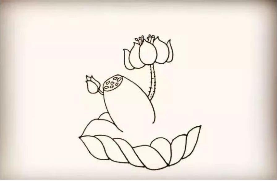 荷花怎么画简单又好看教程图片