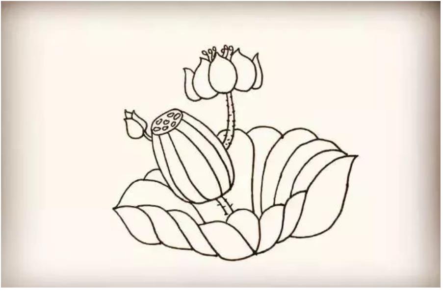 荷花怎么画简单又好看教程图片