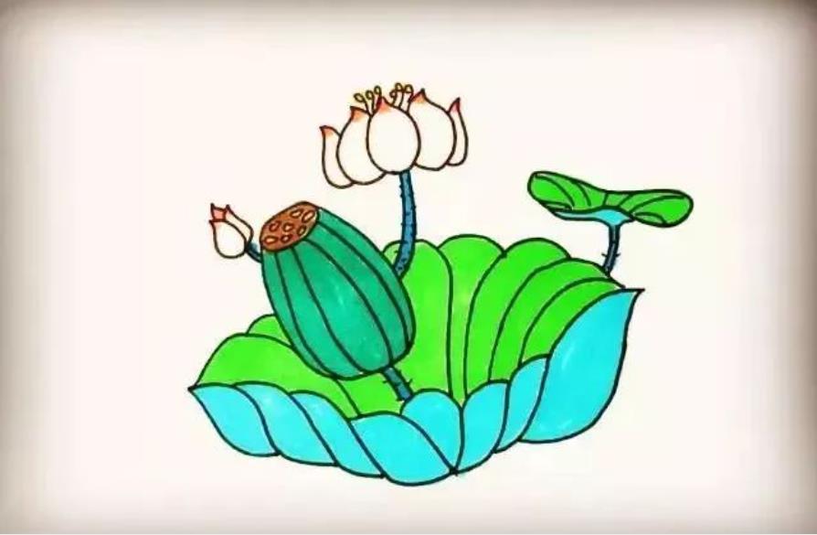 荷花怎么画简单又好看教程图片