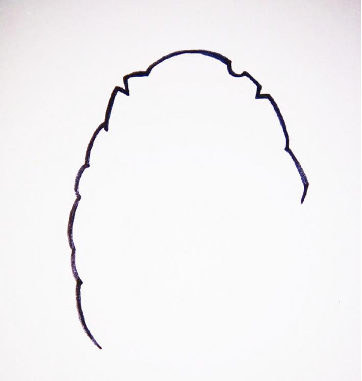 植物大战僵尸里的坚果简笔画彩色