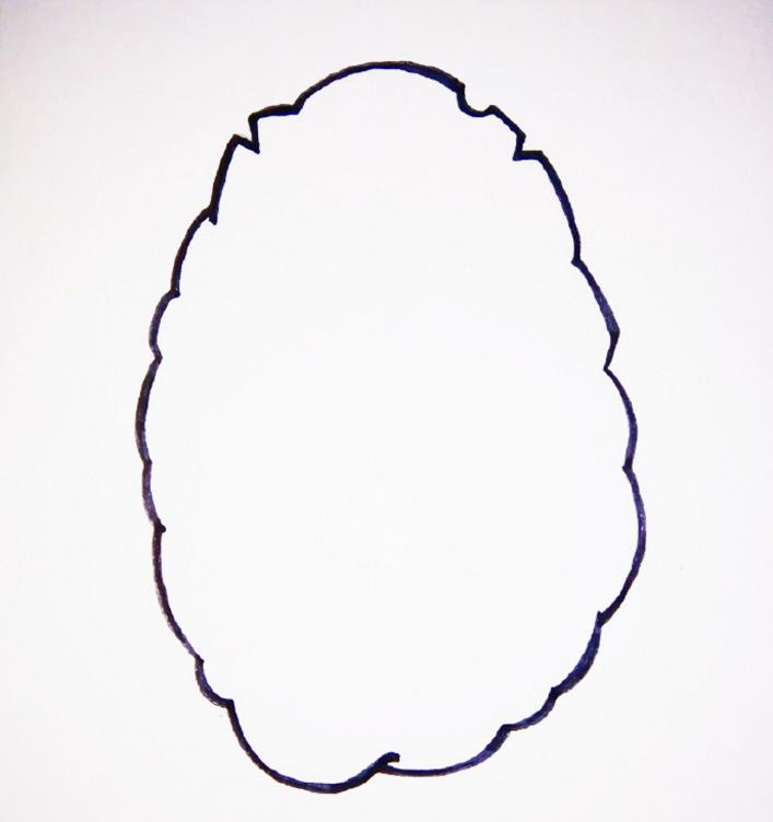 植物大战僵尸里的坚果简笔画彩色