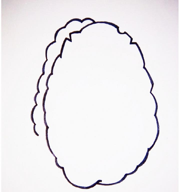 植物大战僵尸里的坚果简笔画彩色