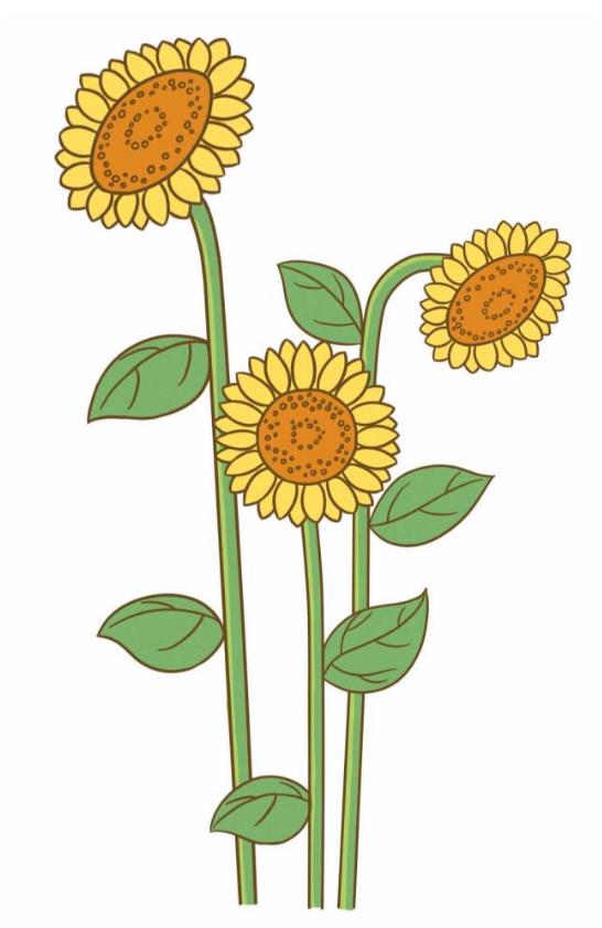 8一11岁简单画花朵向日葵 一步一步画花朵简笔画