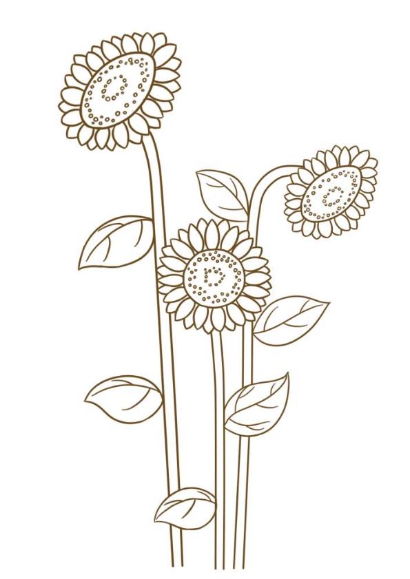 8一11岁简单画花朵向日葵 一步一步画花朵简笔画