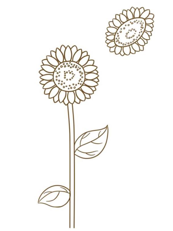 8一11岁简单画花朵向日葵 一步一步画花朵简笔画