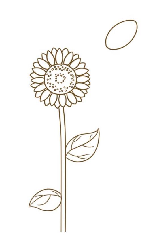 8一11岁简单画花朵向日葵 一步一步画花朵简笔画