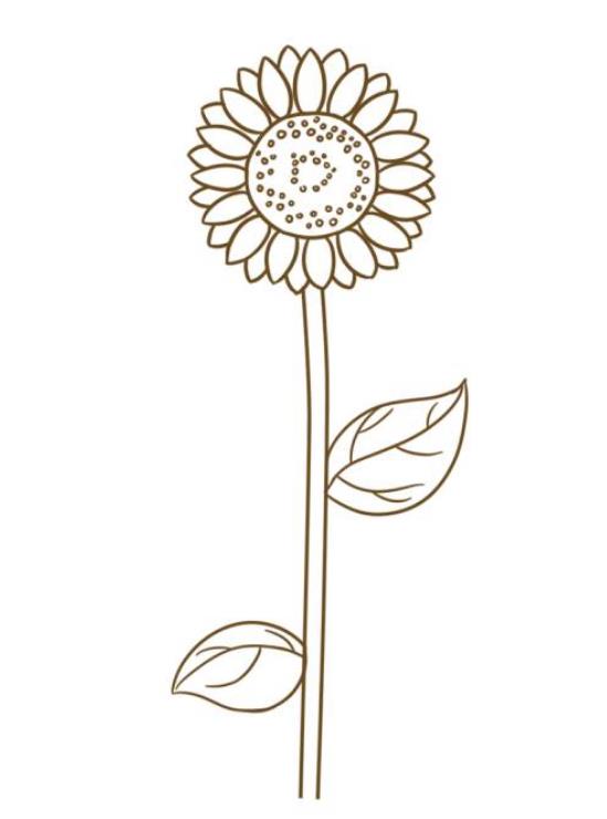 8一11岁简单画花朵向日葵 一步一步画花朵简笔画