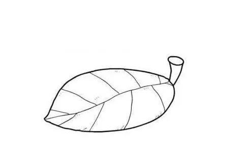 画树叶的简笔画步骤怎么画 树叶画法简笔画图片