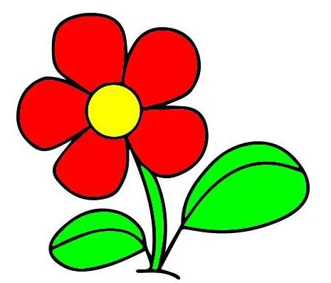 2024简单的花朵怎么画简笔画大全欣赏