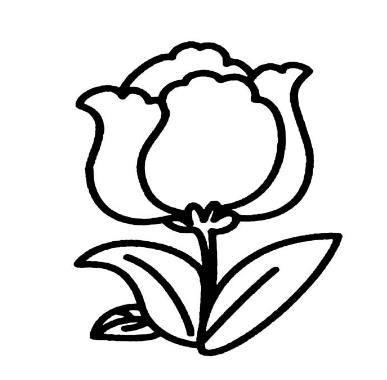 2024简单的花朵怎么画简笔画大全欣赏